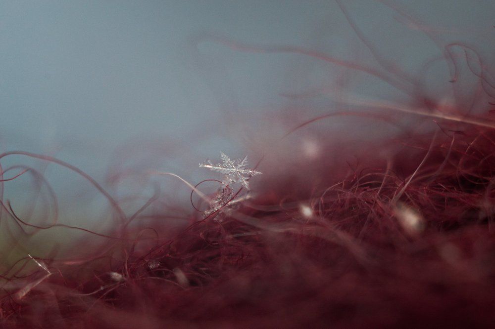 Photograph by Воинкова Ирина