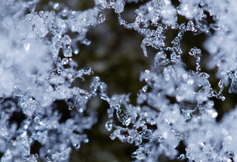 Photograph by Тим Талер