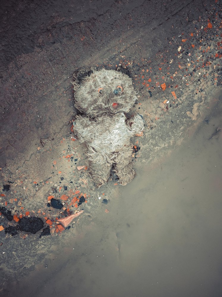 Фотография автора Гладкий Сергей