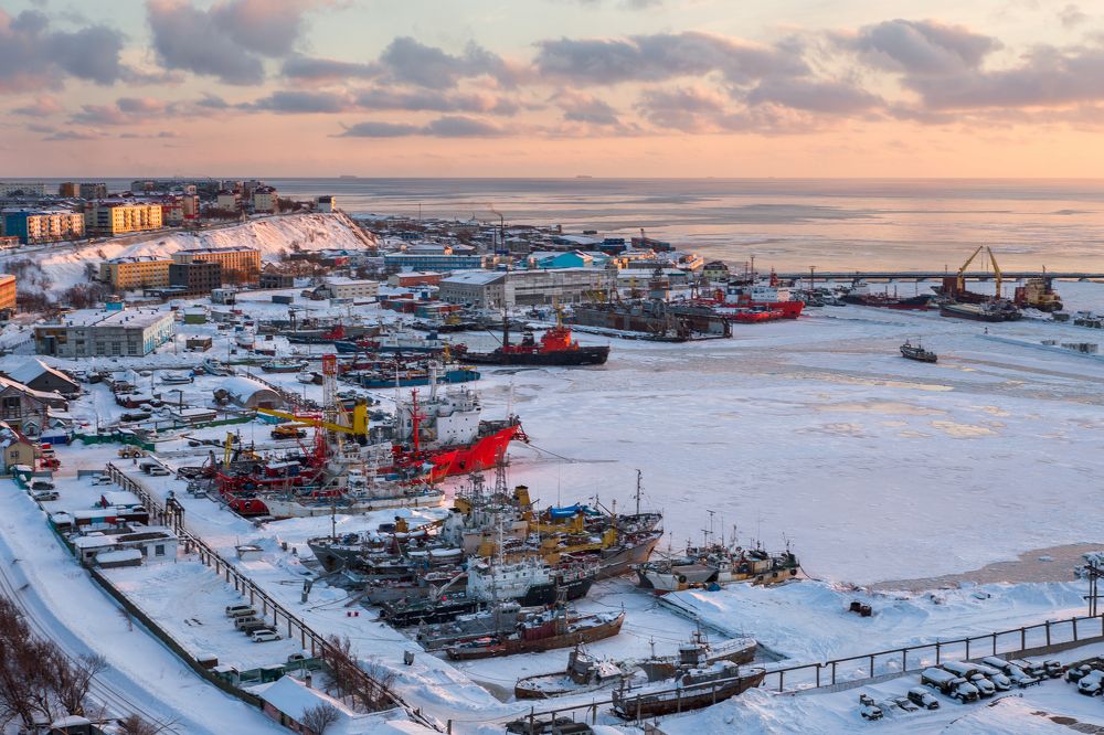 В зимней спячке.