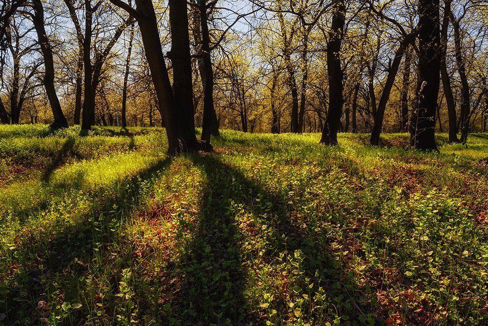 Фотография автора Игорь Баранов