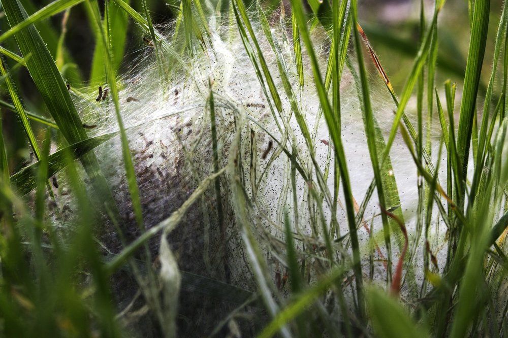 Photograph by Ирина Костенко