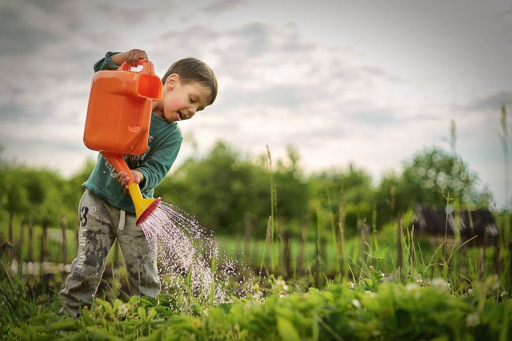 Ягодка расти...