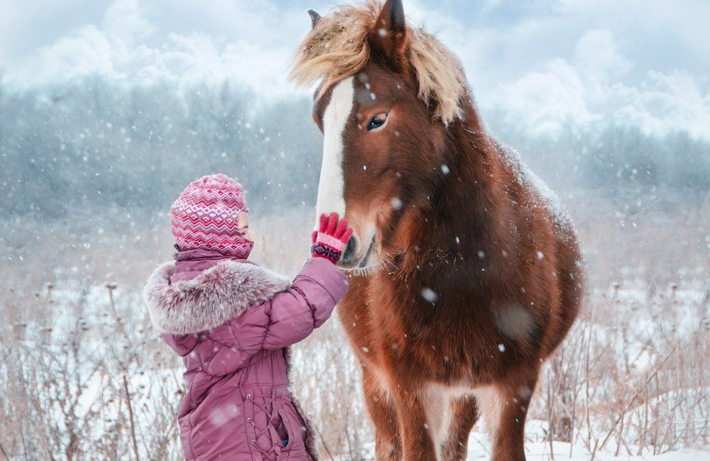 Мой дикий друг