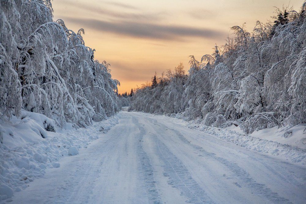 Зимняя сказка