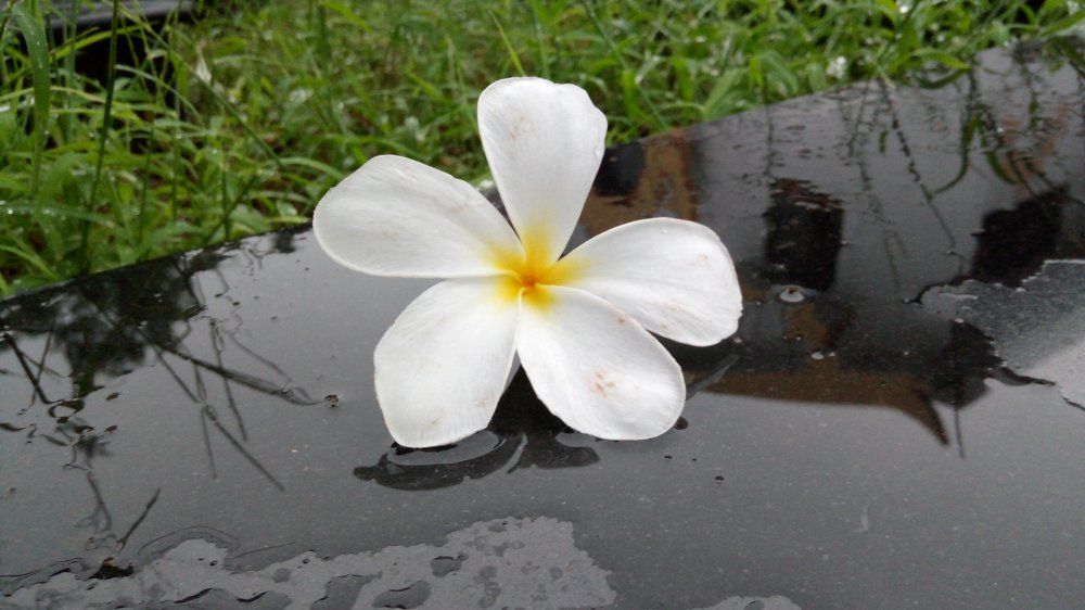 Beauty of Nature