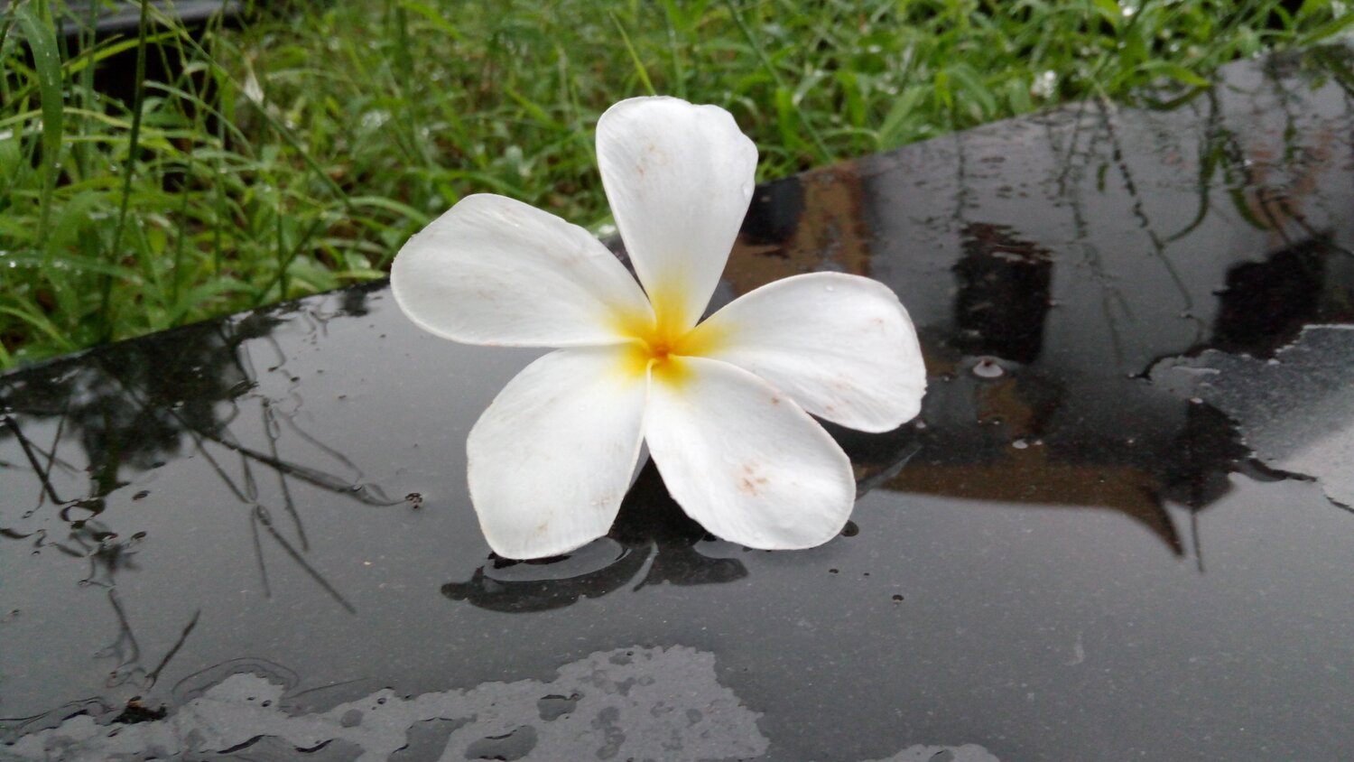 Beauty of Nature