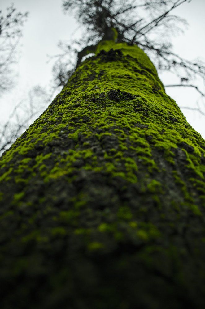 Photograph by Dariya Tuchashvili