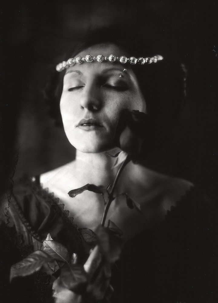 Black rose