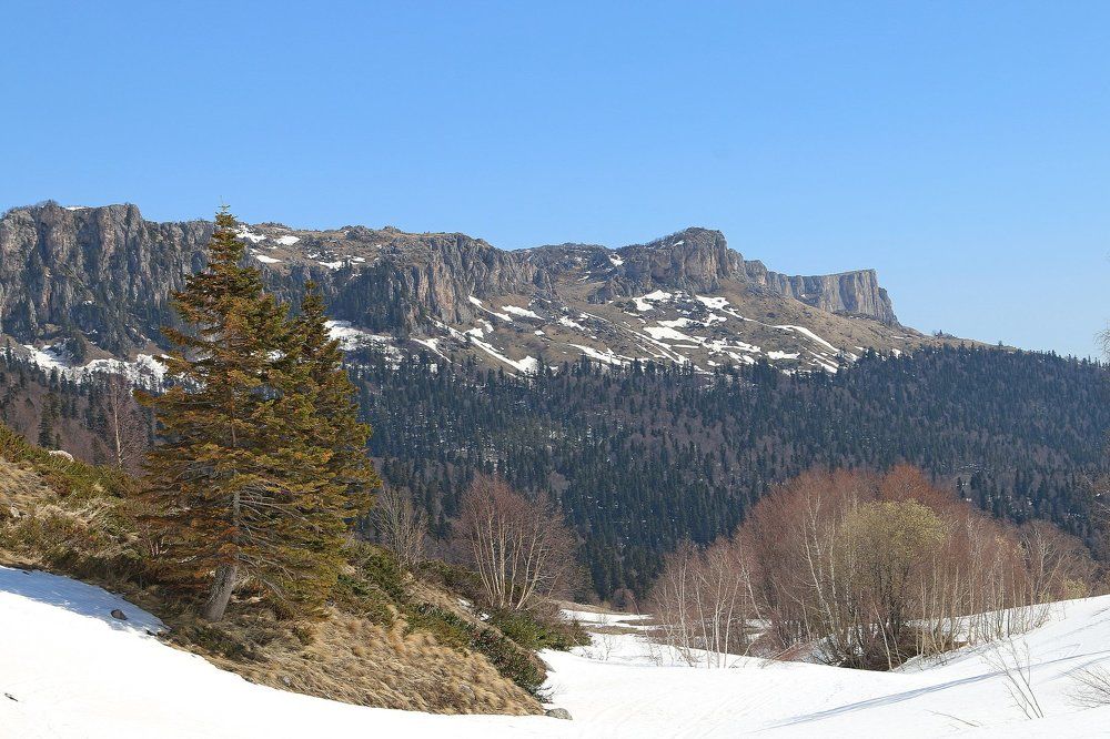 Весна в горах Кавказа