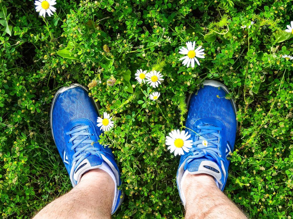 Любимые цвета