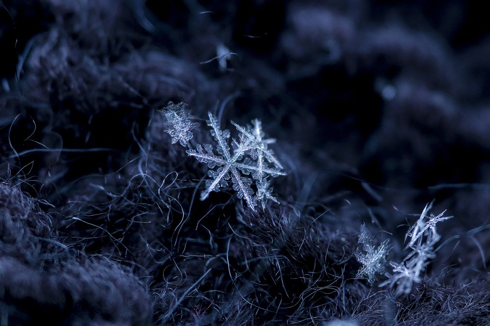 первый снег