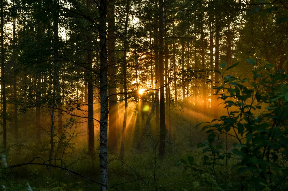 Последние лучи солнца