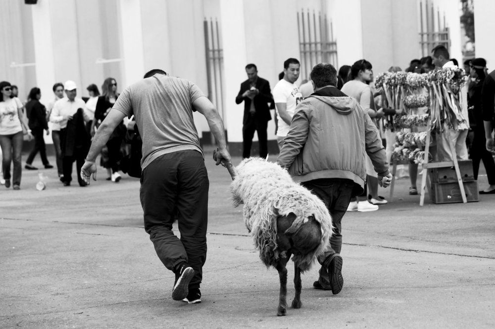 мы не бросим тебя, боец.......