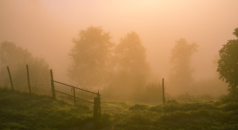 Туманными рассветами