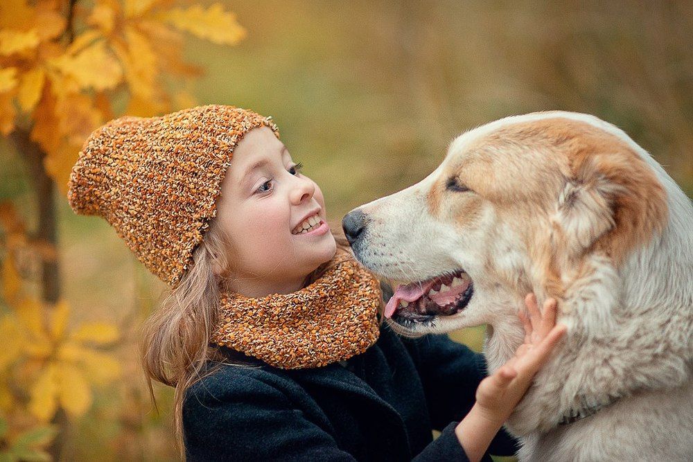 Ты серьезно!?!