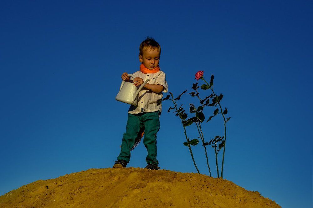 Маленький принц