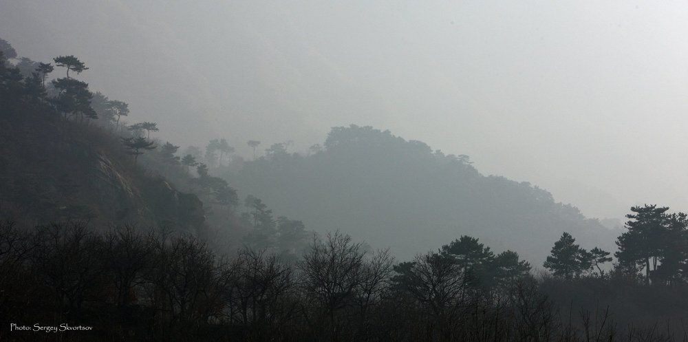 Туман в горах
