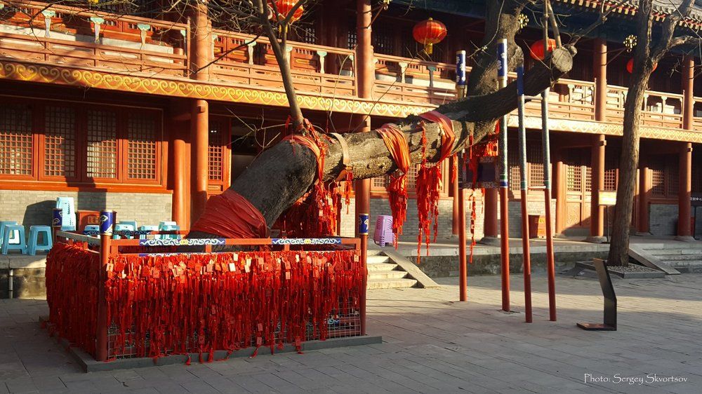 Молитвы об успешной сдачи экзаменов