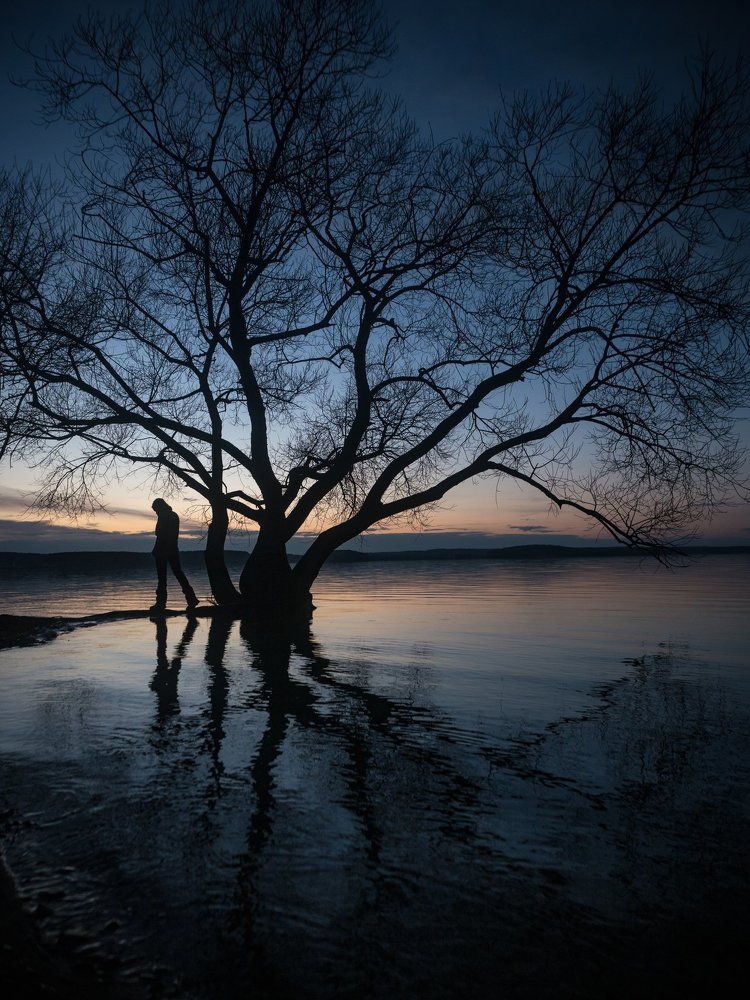 Накануне Рождества
