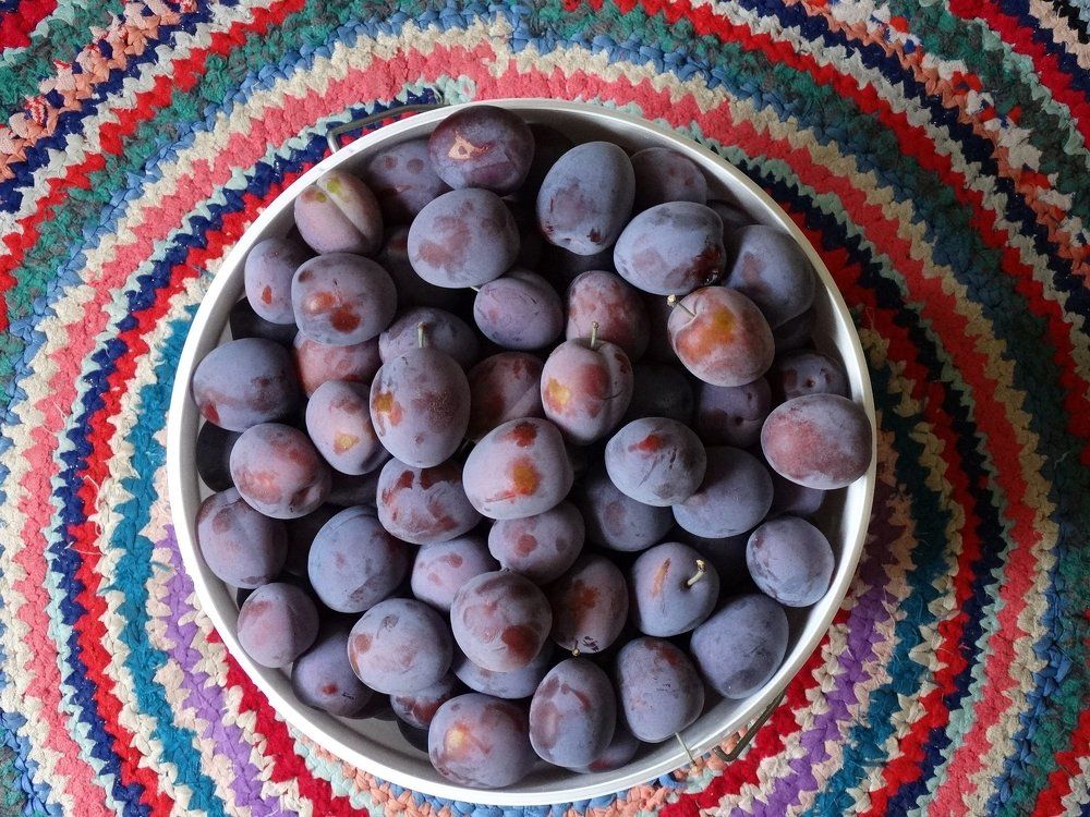 Photograph by Елена Стрельцова