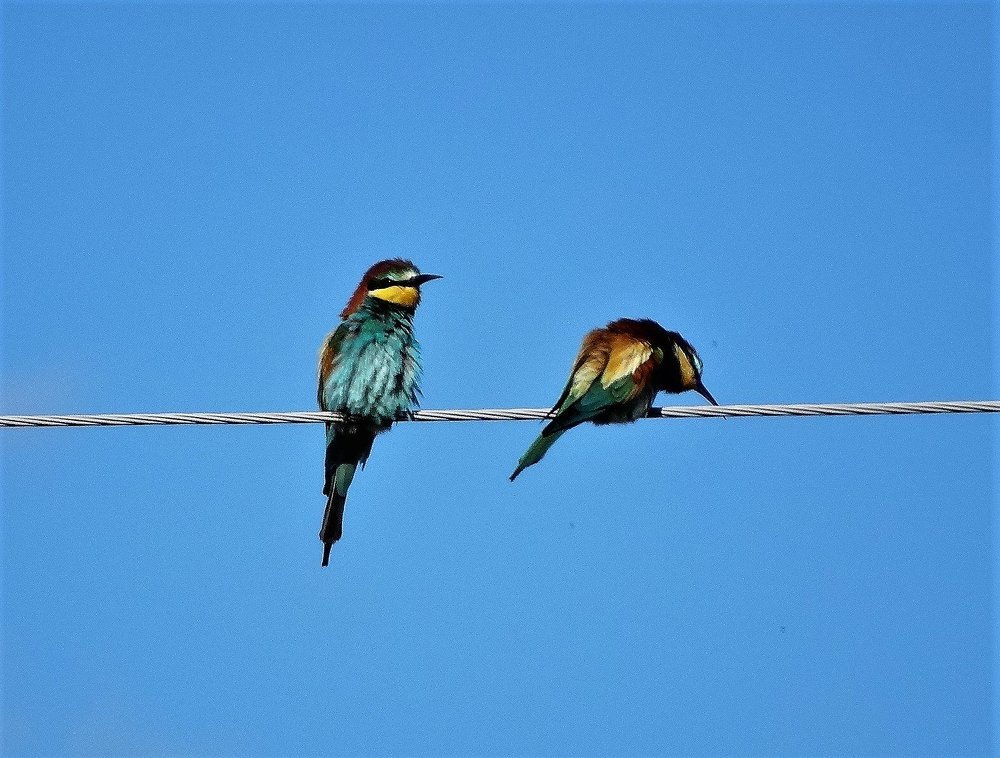 Photograph by Елена Стрельцова