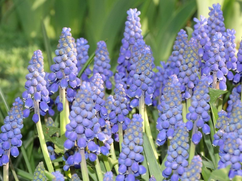 Photograph by Елена Стрельцова