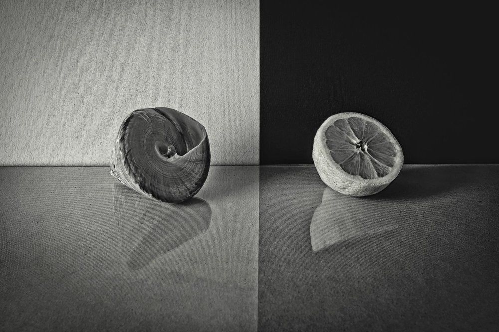 Окружность в квадрате