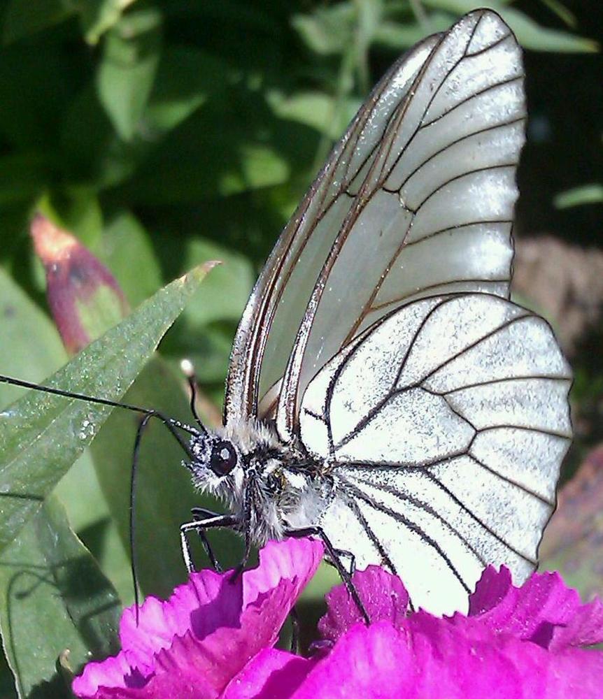 Photograph by Евгений Беляев