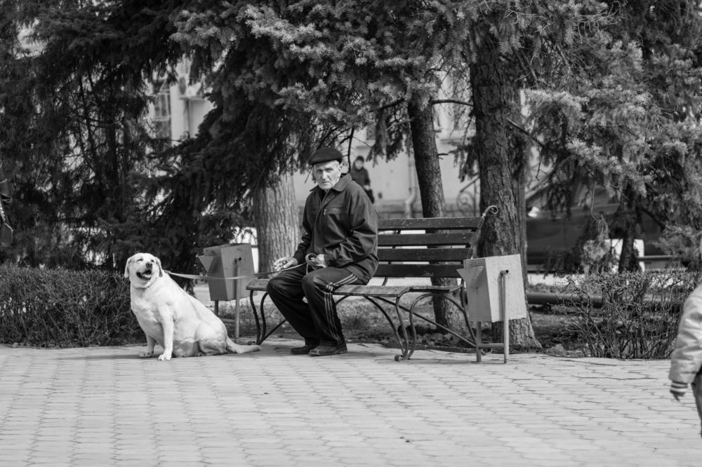 Старые друзья