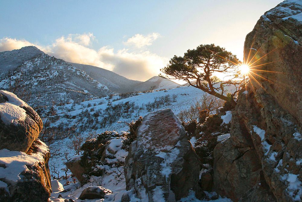 Вечерний пейзаж..