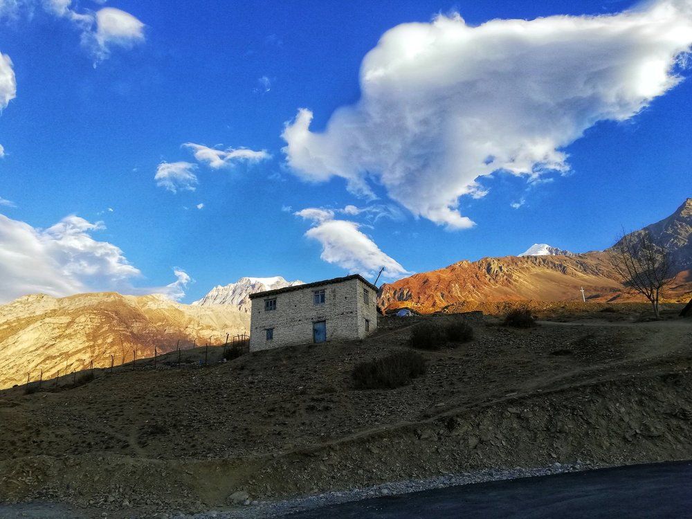 Beauty in loneliness