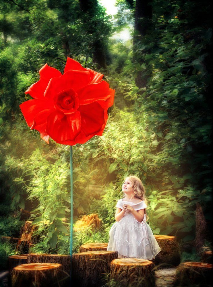 Photograph by Ирина Слайд