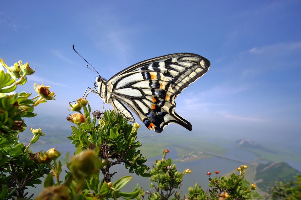 Высокогорный Обелиск