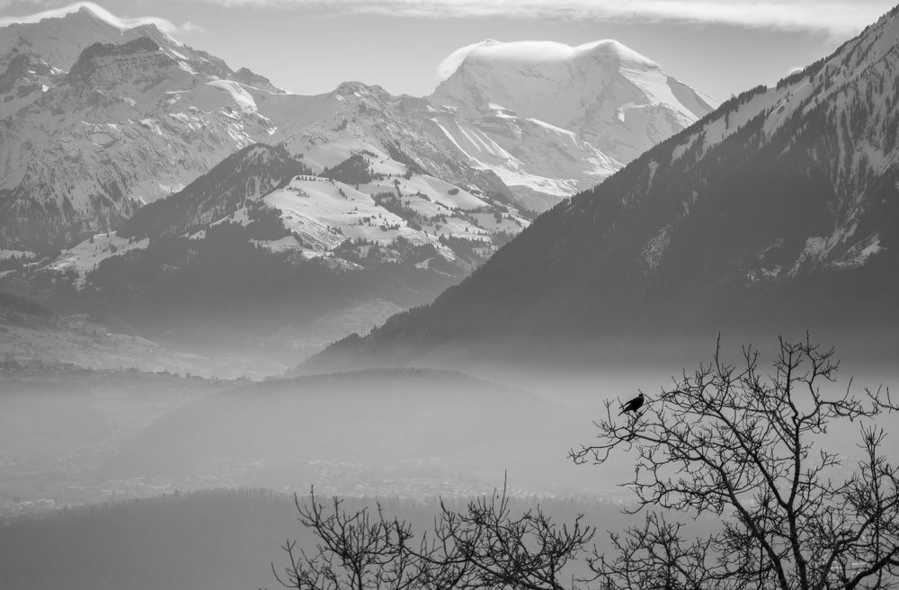 Photograph by Natalia