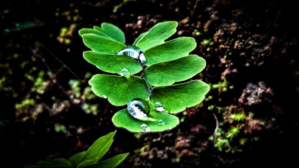 Photograph by Anaghapriya