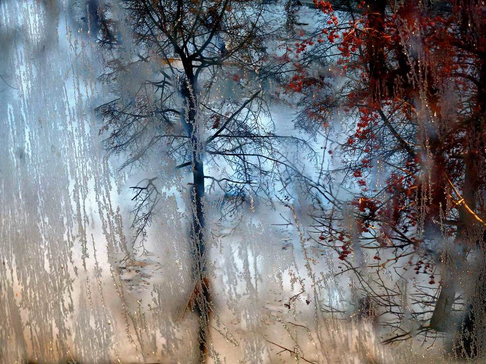 Окно в зиму