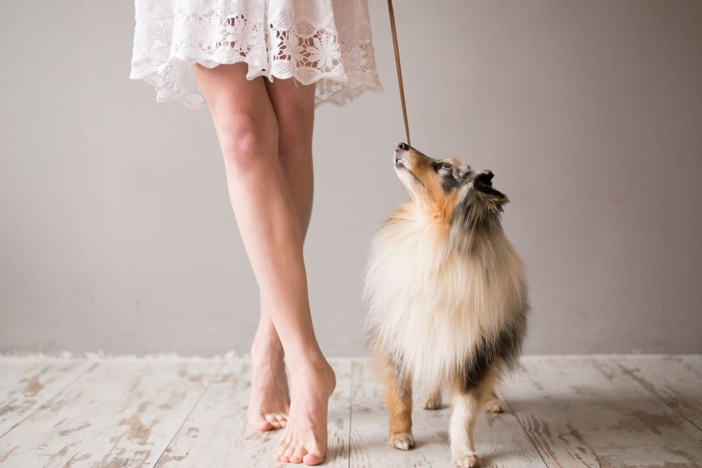 Своя любовь