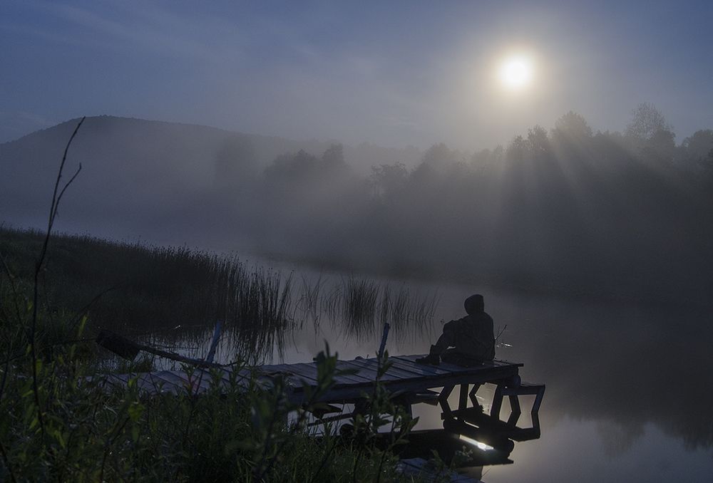Размышления в лунную ночь