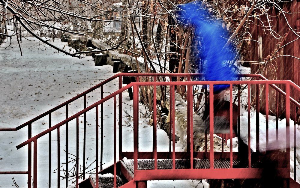 Photograph by Инна Мельникова