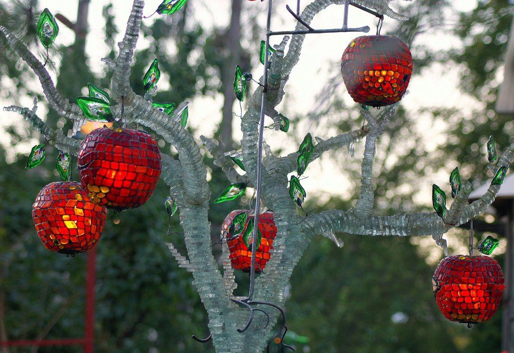 Чудо дерево в саду