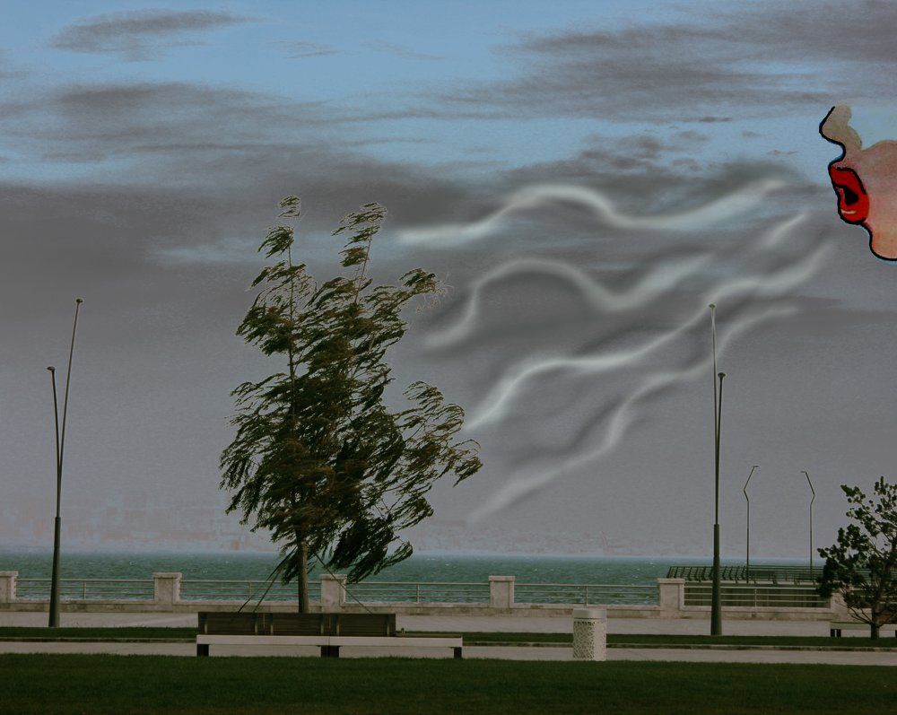 Photograph by Nargiz