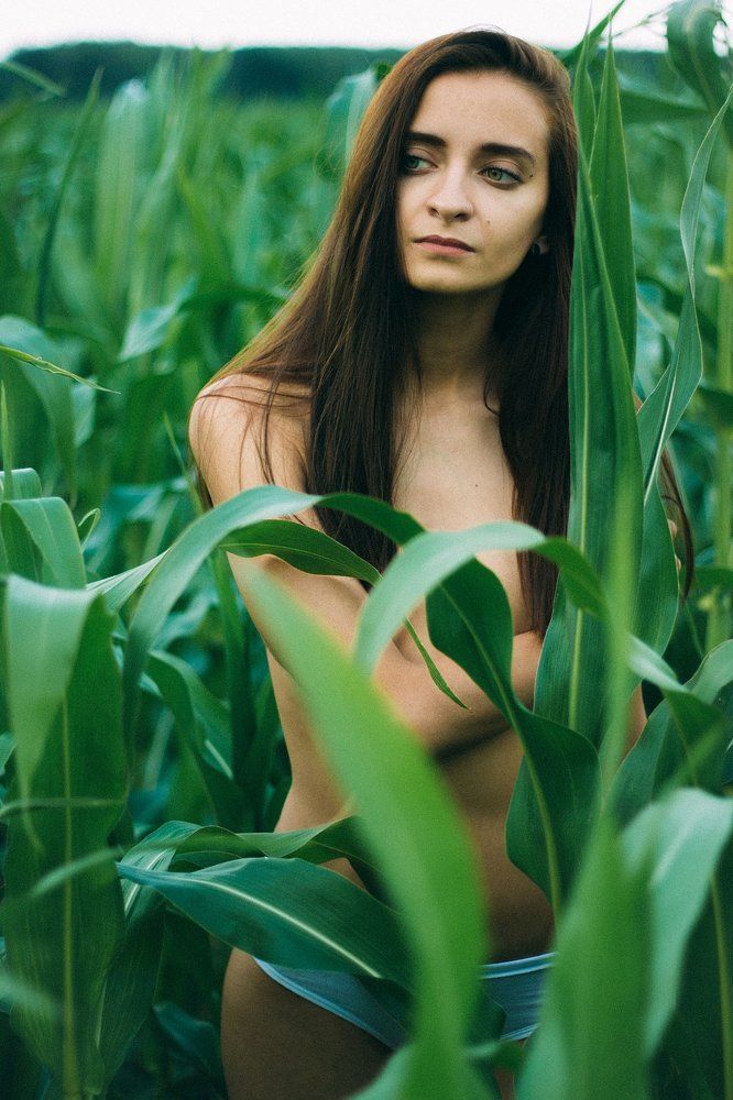 Скрытое поле