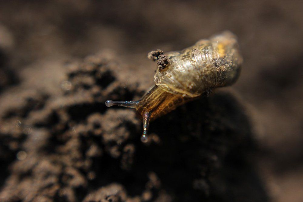 опасный спуск