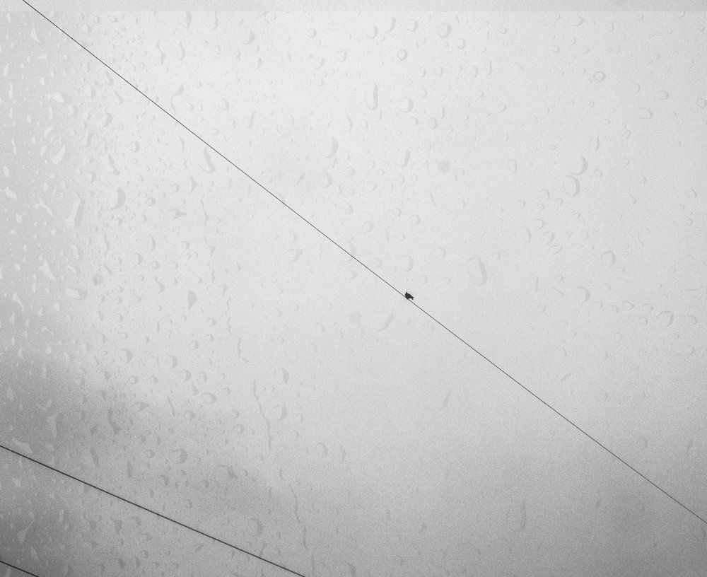 Одиночество