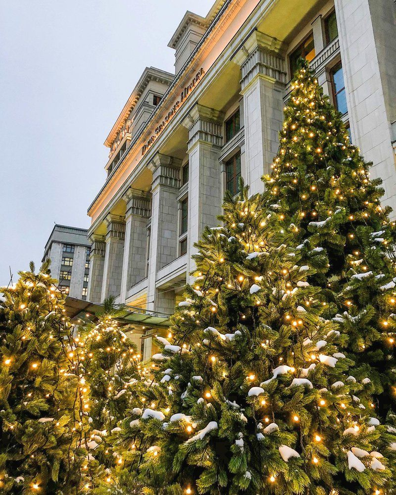 Лес на Манежной