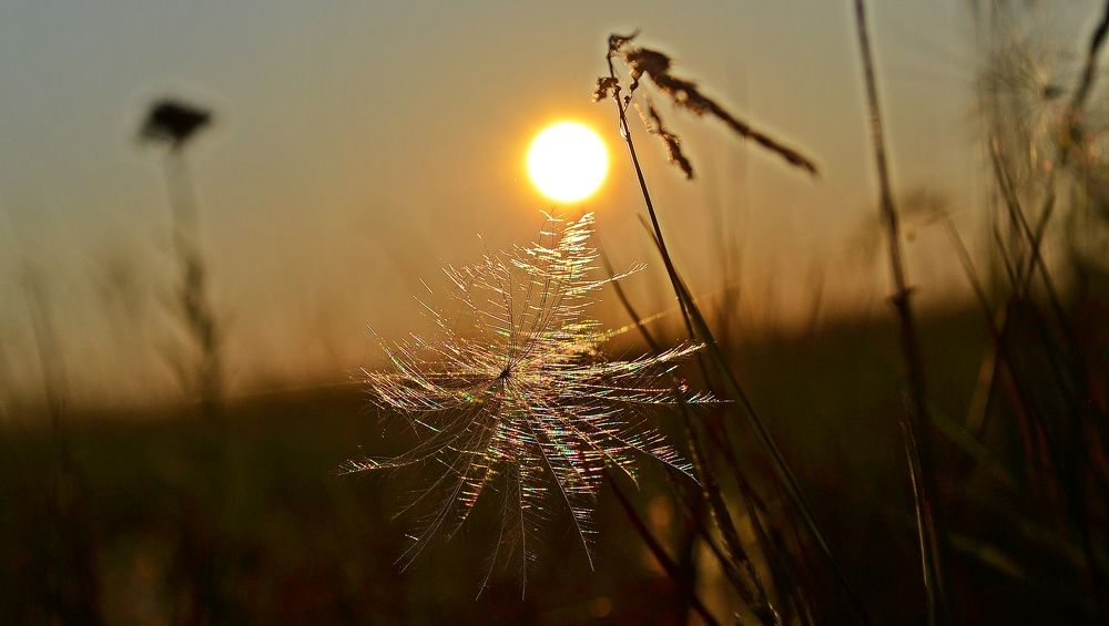 glare of colorful sunlight