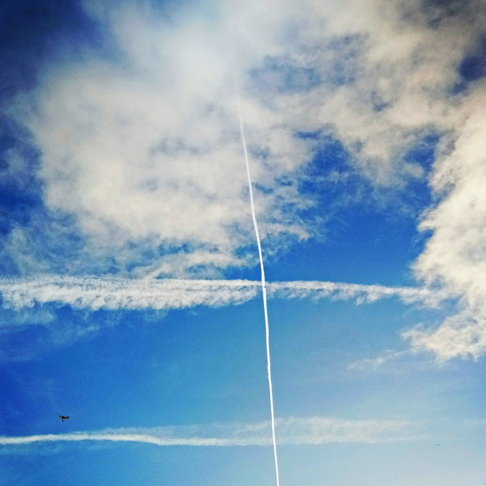 Flying Free