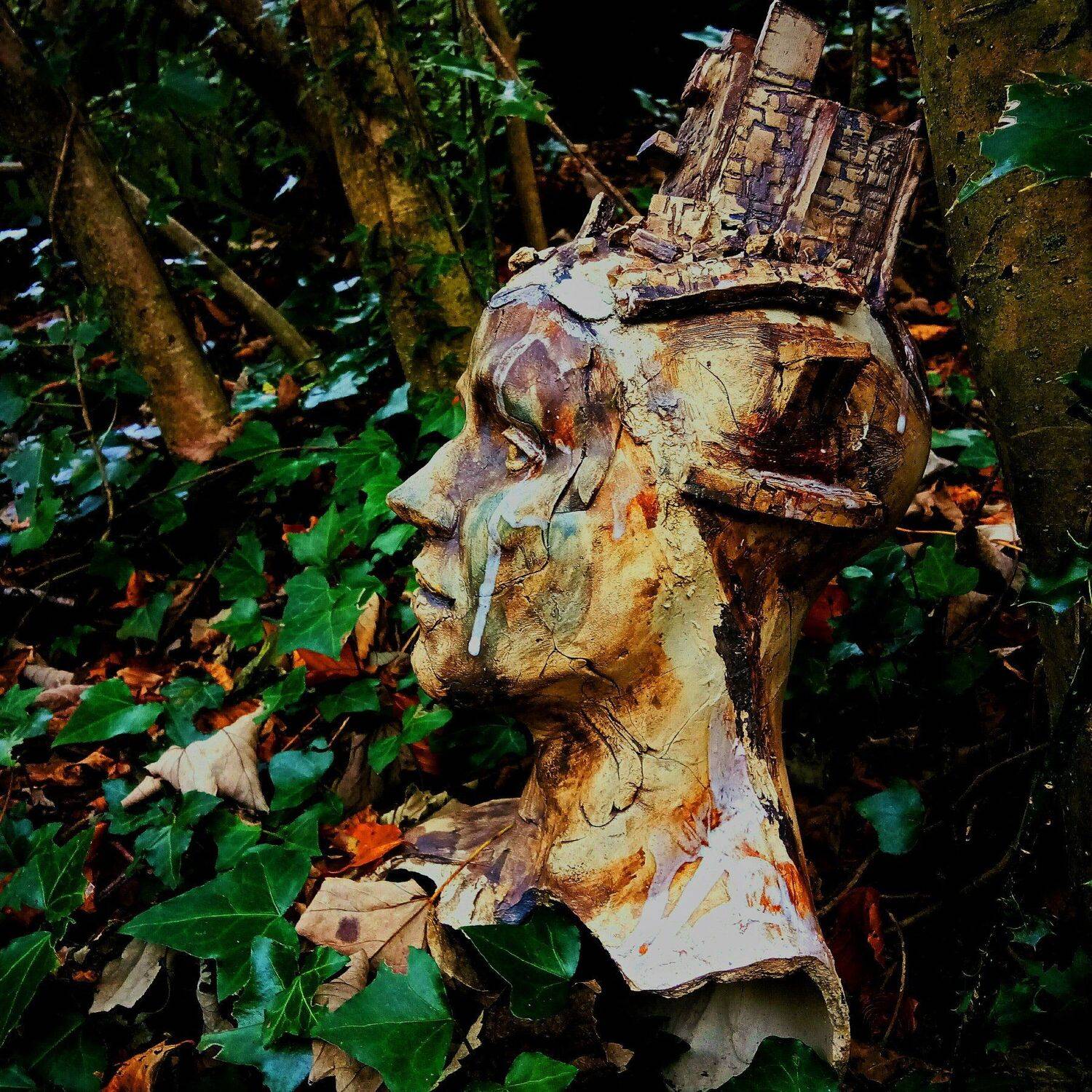 Queen of the woods