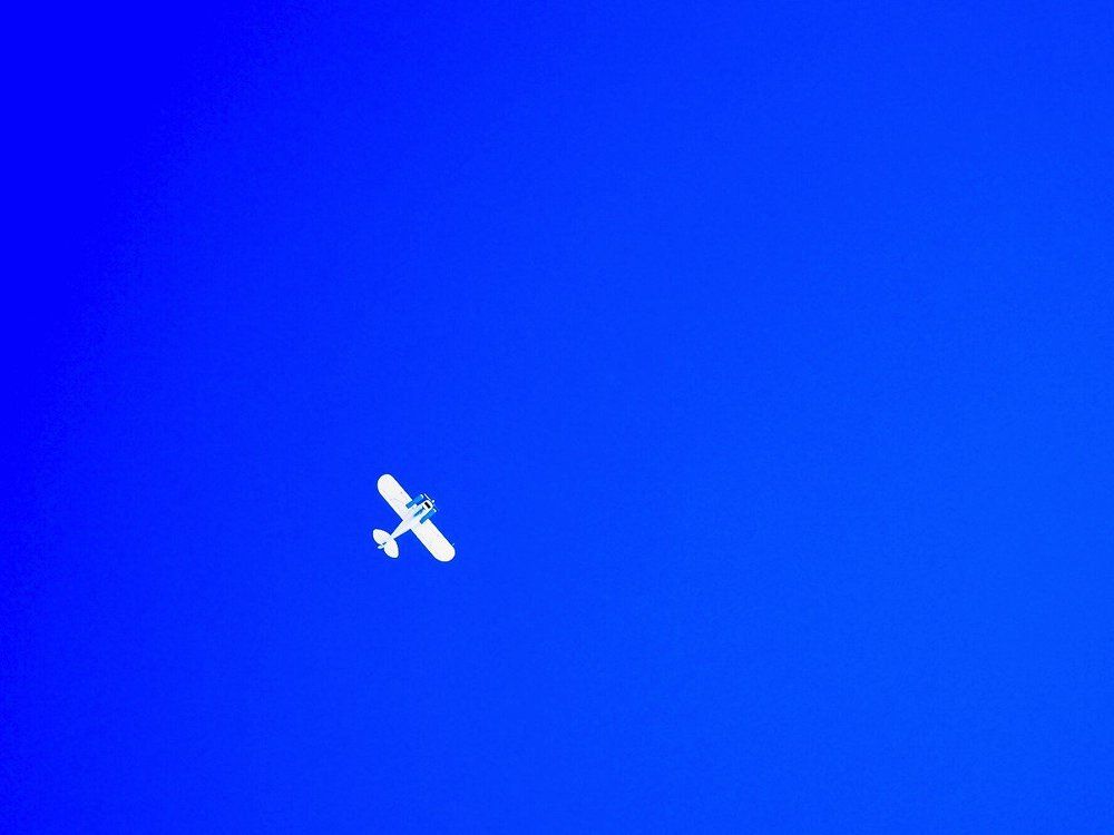 На белом по синему